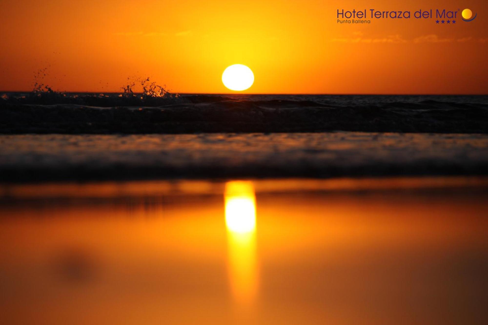 Hotel Terraza Del Mar Punta Ballena Zewnętrze zdjęcie